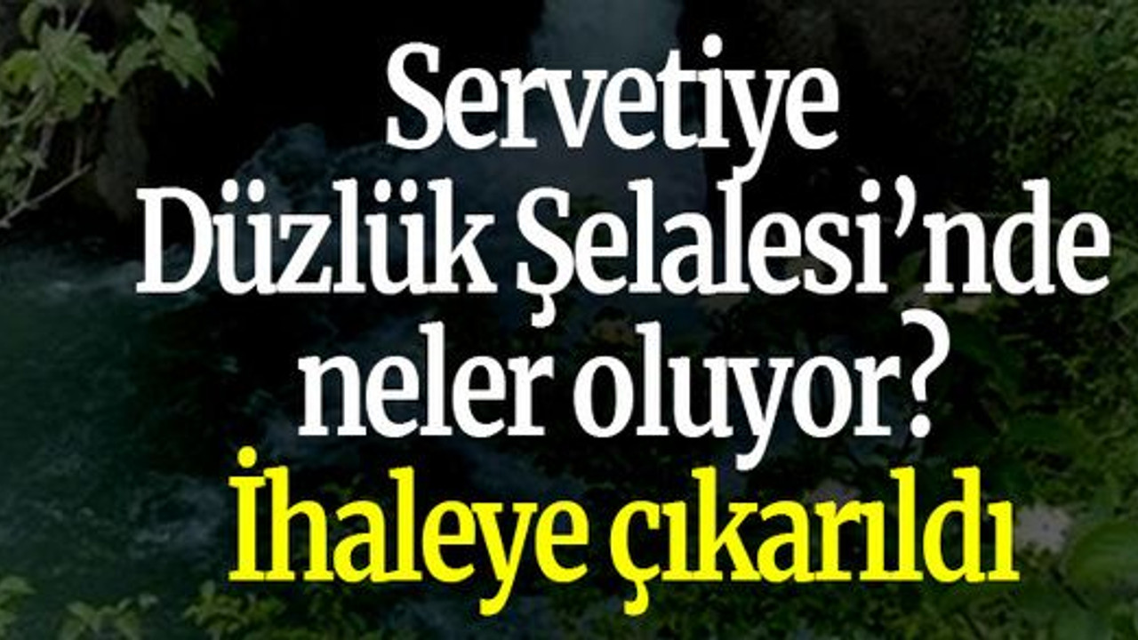 Servetiye Düzlük Şelalesi’nde neler oluyor? İhaleye çıkarıldı
